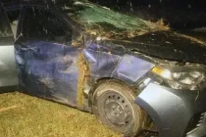 c5e462_3fa3b79344b94f2c940e461507d8bf91mv2